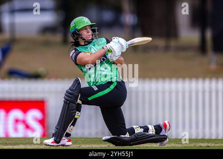 Melbourne, Australie, 9 novembre 2024. Marizanne Kapp des Melbourne Stars Bats lors du match T20 de Weber Women's Big Bash League (WBBL10) entre Melbourne Renegades Women et Melbourne Stars Women au CitiPower Centre Junction Oval le 9 novembre 2024 à Melbourne, Australie. Crédit : Santanu Banik/Speed Media/Alamy Live News Banque D'Images