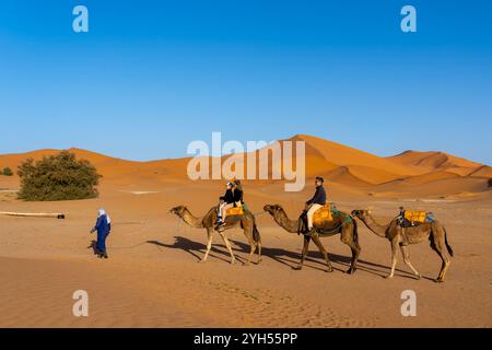 Touristes expérimentant l'équitation de chameau dans le désert du Sahara au Maroc, Afrique. Banque D'Images