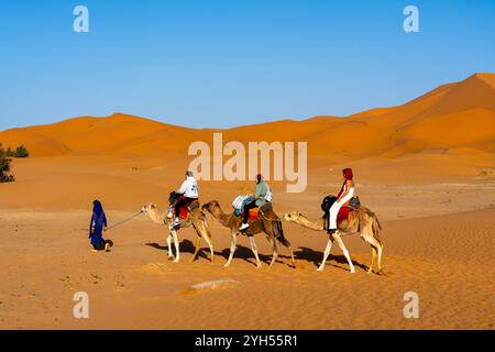 Touristes expérimentant l'équitation de chameau dans le désert du Sahara au Maroc, Afrique. Banque D'Images