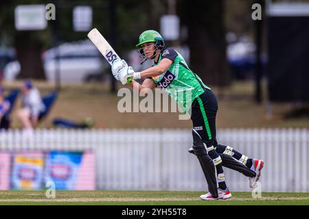 Melbourne, Australie, 9 novembre 2024. Marizanne Kapp des Melbourne Stars lors du match T20 de Weber Women's Big Bash League (WBBL10) entre Melbourne Renegades Women et Melbourne Stars Women au CitiPower Centre Junction Oval le 9 novembre 2024 à Melbourne, Australie. Crédit : Santanu Banik/Speed Media/Alamy Live News Banque D'Images