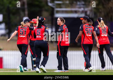 Melbourne, Australie, 9 novembre 2024. Les joueuses des Melbourne Renegades célèbrent le match T20 de Weber Women's Big Bash League (WBBL10) entre les Melbourne Renegades Women et les Melbourne Stars Women au CitiPower Centre Junction Oval le 9 novembre 2024 à Melbourne, en Australie. Crédit : Santanu Banik/Speed Media/Alamy Live News Banque D'Images