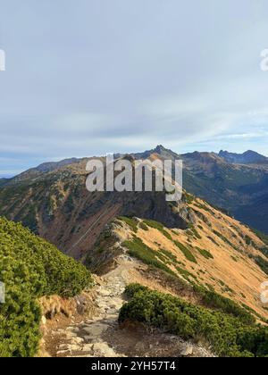 Vues de Kopa Kondracka vers les Tatras slovaques, Slovaquie, révélant de vastes paysages alpins et des sommets lointains Banque D'Images