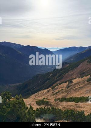 Vues de Kopa Kondracka vers les Tatras slovaques, Slovaquie, révélant de vastes paysages alpins et des sommets lointains Banque D'Images