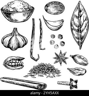 Clip art avec épices. Graphiques vectoriels représentant des épices culinaires aromatiques de différents types. Illustrations dessinées à la main en noir et blanc. Sur un dos blanc Illustration de Vecteur