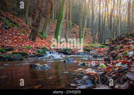 Une vue détaillée capture une petite cascade dans un ruisseau forestier en automne. La zone environnante est couverte de feuilles tombées affichant un autum vibrant Banque D'Images