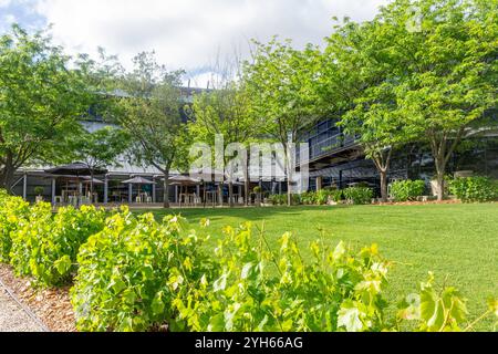 National Wine Centre of Australia, jardin botanique d'Adélaïde, North Terrace, Adélaïde, Australie méridionale, Australie Banque D'Images