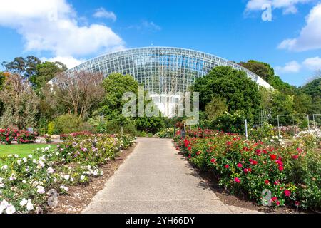 Roseraie internationale et conservatoire du Bicentenaire, jardin botanique d'Adélaïde, North Terrace, Adélaïde, Australie méridionale, Australie Banque D'Images