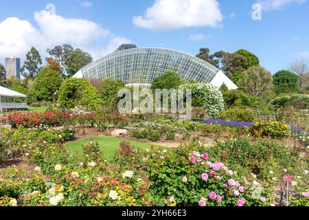 Roseraie internationale et conservatoire du Bicentenaire, jardin botanique d'Adélaïde, North Terrace, Adélaïde, Australie méridionale, Australie Banque D'Images