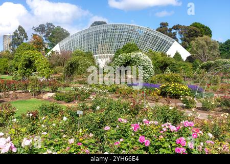 Roseraie internationale et conservatoire du Bicentenaire, jardin botanique d'Adélaïde, North Terrace, Adélaïde, Australie méridionale, Australie Banque D'Images