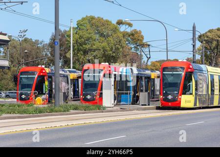 Tramways à l'arrêt Royal Adelaide Hospital, North Terrace, Adélaïde, Australie méridionale, Australie Banque D'Images