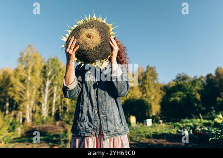 Femme drôle couvrant son visage avec un grand tournesol mûr, festival des récoltes en automne. Mode de vie organique, femme avec tournesol, appréciant le plaisir de Banque D'Images