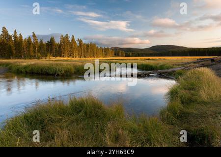 La rivière Gibbon qui coule à travers Gibbon Meadows sous la lune. Parc national de Yellowstone, Wyoming Banque D'Images