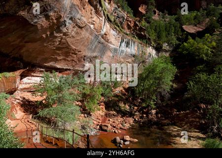 Le Lower Emerald Pools Trail passe devant un Lower Emerald Pool sec dans le parc national de Zion à la fin de l'été. Banque D'Images