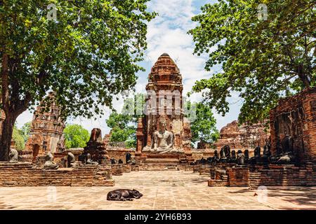 Statue de Bouddha intemporelle à Wat Mahathat, Ayutthaya Banque D'Images