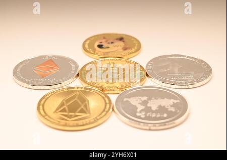 Stock- und Symbolbilder I 10.11.2024 Thema : Kryptowährungen. Bitcoin BTC, Ethereum ETH, Litecoin LTC, Ripple XRP, EOS, Dogecoin Doge, Gold und Silber Hamburg Hamburg Hamburg Deutschland Copyright : xLobeca/FelixxSchlikisx Banque D'Images