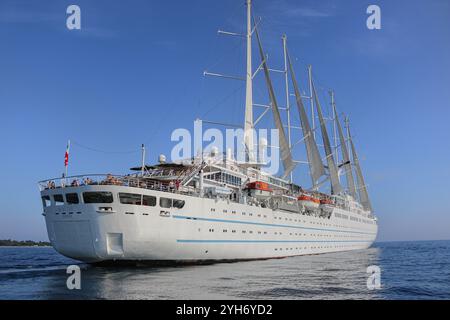 Mer Méditerranée, Espagne. 09 novembre 2024 : le bateau de croisière à cinq mâts, l'un des plus grands voiliers du monde. L’immense goélette à voile, anciennement connue sous le nom DE CLUB MED 1, navigue vers le port espagnol de Cadix pour entrer en cale sèche du chantier naval de Navantia pour la première phase de rénovations étendues de plusieurs millions de dollars (espaces publics redessinés, suites / cabines modernisées, décors mis à jour, nouvelle atmosphère). Windstar Cruises s'est lancé dans un projet pluriannuel de refonte et de rénovation de ses yachts de classe Wind : Wind Star, Wind Spirit & Wind Surf (fleuron de la flotte). Crédit : Kevin Izorce/Alamy Live News Banque D'Images