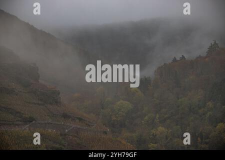 Paysage tourné en automne. Une ville entourée de brouillard. Un château se dresse sur la colline. Zell am Moselle, Hunsrück, Rhénanie-Palatinat Banque D'Images