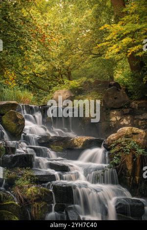 Cascade sereine au-dessus des rochers dans un cadre boisé luxuriant Banque D'Images