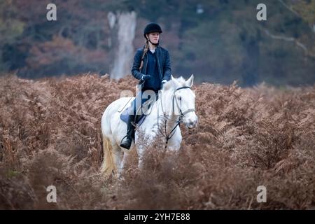 Londres, Royaume-Uni. 10 novembre 2024. Météo britannique – Un cavalier à Richmond Park sous un épais nuage bas. Les prévisions sont pour le temps exceptionnellement sombre de se dégager avec le soleil pour revenir la semaine prochaine. Credit : Stephen Chung / Alamy Live News Banque D'Images