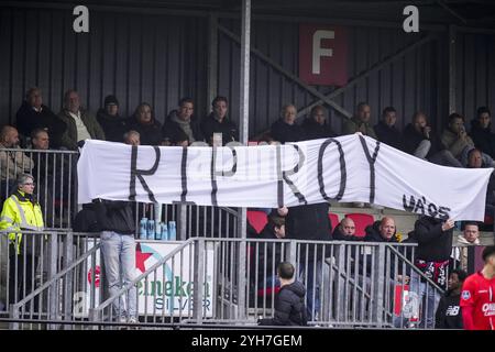 Almere, pays-Bas. 10 novembre 2024. Almere - fans d'Almere City FC lors de la douzième manche de la saison Eredivisie 2024/2025. Le match se déroule entre Almere City FC et Feyenoord au Yanmar Stadion le 10 novembre 2024 à Almere, aux pays-Bas. Crédit : Box to Box Pictures/Alamy Live News Banque D'Images