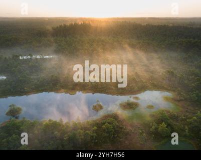 Nature estonienne, marais de Seli au lever du soleil, brouillard des lacs, vue aérienne par drone. Banque D'Images