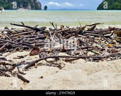 Une plage lourdement jonchée de bois et de plastique Banque D'Images