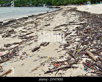 Une plage lourdement jonchée de bois et de plastique Banque D'Images