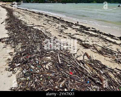 Une plage lourdement jonchée de bois et de plastique Banque D'Images