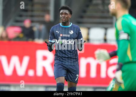 Silkeborg, Danemark. 10 novembre 2024. Silkeborg moeder Randers FC i Superligaen soendag den 10. novembre 2024 paa JYSK Park i Silkeborg soendag den 10. novembre 2024. Crédit : Ritzau/Alamy Live News Banque D'Images