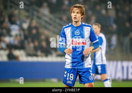 Odense, Danemark. 09 novembre 2024. Max Ejdum (18 ans) d'Odense BK vu lors du match NordicBet Liga entre Odense BK et AC Horsens au Parc d'énergie naturel d'Odense. Crédit : Gonzales photo/Alamy Live News Banque D'Images