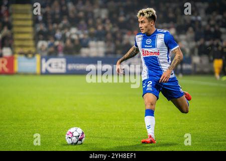 Odense, Danemark. 09 novembre 2024. Nicholas Mickelson (2) d'Odense BK vu lors du match NordicBet Liga entre Odense BK et AC Horsens au nature Energy Park à Odense. Crédit : Gonzales photo/Alamy Live News Banque D'Images