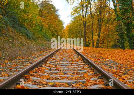 Paysage pittoresque de voies ferrées s'étendant au loin dans la forêt d'automne. Banque D'Images