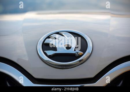 Prague, République tchèque - 29 octobre 2024 : détail du logo de la marque Skoda (flèche ailée argentée sur fond noir) sur une voiture Octavia blanche. Banque D'Images