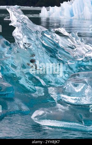 Alaska, baie LeConte, glacier LeConte. Iceberg bleu clair. Banque D'Images