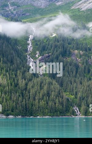 Alaska, Tongas Forest, Tracy Arm. Banque D'Images