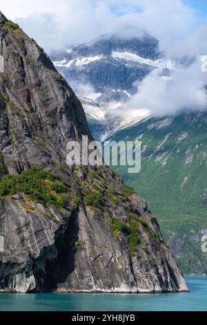 Alaska, Tongas Forest, Tracy Arm. Banque D'Images