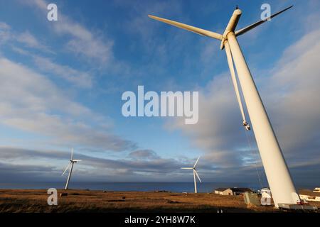 9 novembre 2024. Forss, Caithness, Écosse. Le technicien Michael Parry répare une pale d'éolienne au parc éolien Forss près de Thurso, en Écosse. Banque D'Images