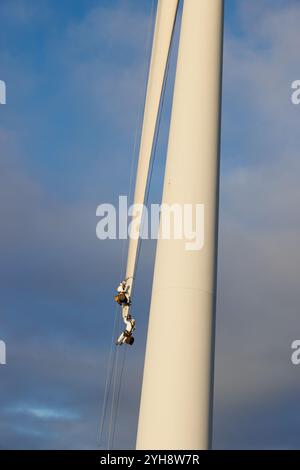 9 novembre 2024. Forss, Caithness, Écosse. Le technicien Michael Parry répare une pale d'éolienne au parc éolien Forss près de Thurso, en Écosse. Banque D'Images