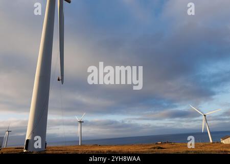 9 novembre 2024. Forss, Caithness, Écosse. Le technicien Michael Parry répare une pale d'éolienne au parc éolien Forss près de Thurso, en Écosse. Banque D'Images