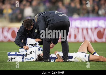 Firenze, Italie. 10 novembre 2024. Domagoj Bradaric de Vérone blessé lors du match de Serie A Enilive 2024/2025 entre Fiorentina et Vérone - Serie A Enilive au stade Artemio franchi - Sport, Football - Florence, Italie - dimanche 10 novembre 2024 (photo Massimo Paolone/LaPresse) crédit : LaPresse/Alamy Live News Banque D'Images