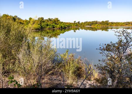 Réflexion du lac avec des arbres dans Brushy Creek Regional Trail, Cedar Park, Texas, États-Unis Banque D'Images