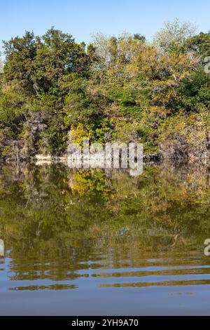 Réflexion du lac avec des arbres dans Brushy Creek Regional Trail, Cedar Park, Texas, États-Unis Banque D'Images