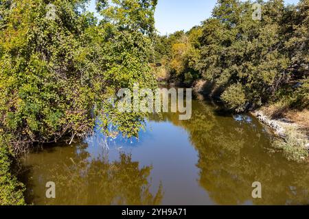Réflexion du lac avec des arbres dans Brushy Creek Regional Trail, Cedar Park, Texas, États-Unis Banque D'Images