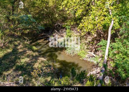 Ruisseau d'eau avec des arbres dans Brushy Creek Regional Trail, Cedar Park, Texas, États-Unis Banque D'Images
