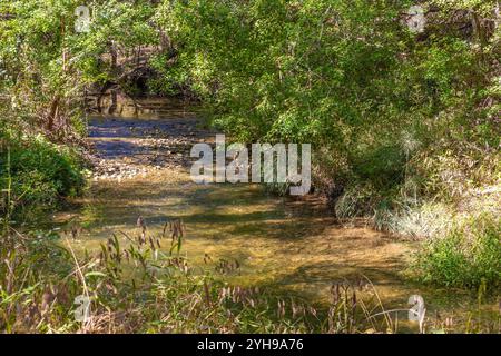 Ruisseau d'eau avec des arbres dans Brushy Creek Regional Trail, Cedar Park, Texas, États-Unis Banque D'Images