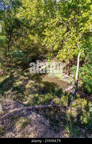 Ruisseau d'eau avec des arbres dans Brushy Creek Regional Trail, Cedar Park, Texas, États-Unis Banque D'Images