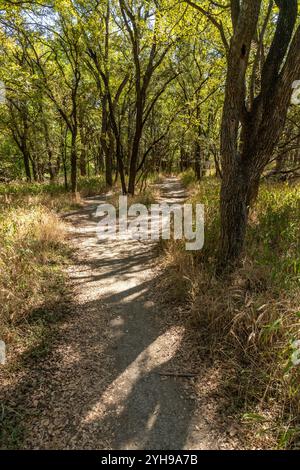 Forêt dans Brushy Creek Regional Trail, Cedar Park, Texas, États-Unis Banque D'Images