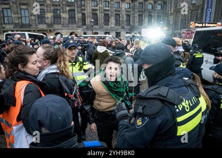 Amsterdam. Pays-Bas.10 novembre 2024.la protestation illégale pro-palestine a pris fin par la police sur la place Dam. Plus d'une centaine de manifestants ont été arrêtés. Credit:Pmvfoto/Alamy Live News Banque D'Images