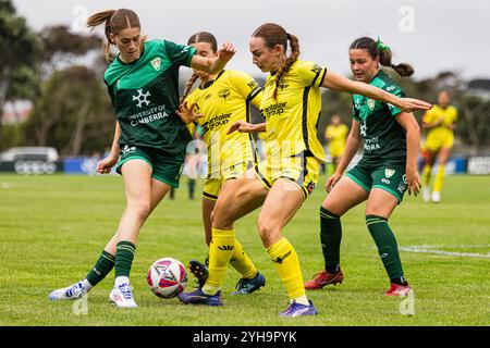 Wellington, Nouvelle-Zélande, 10 novembre 2024. Ruby Nathan de Canberra United tente de contourner le défenseur Mackenzie Barry de Wellington Phoenix lors de la deuxième manche du match de football féminin de Ninja A-League entre Wellington Phoenix et Canberra United à Porirua Park le 10 novembre 2024 à Wellington, en Nouvelle-Zélande. Crédit : James Foy/Speed Media/Alamy Live News Banque D'Images