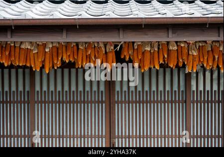 Motif de rangées de maïs sur l'épi traînant pour sécher dans une résidence agricole de campagne à Ehime, au Japon. Banque D'Images
